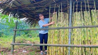 Choosing Trees to Build Houses from Fiber Trees - Ly Tieu Van