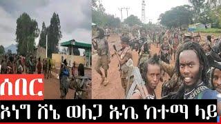 ሰበር የቪዲዮ መረጃ ኦነግ ሸኔ ዛሬ በወለጋ በነቀምቴ ከተማ ኡኬን ተቆጣጥረው ጥፍት ሲፈፅሙ