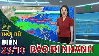 Bão Trà Mi sẽ đạt cường độ cực đại khi tiến vào vùng biển quần đảo Hoàng Sa | VTC14