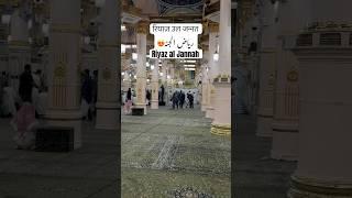 riyadh ul jannah | riaz ul jannah | riyadh ul jannah booking | riaz ul jannah appointment 2024 #hajj