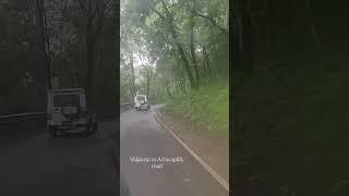 Valparai to Athirapilly forest road on a rainy day | Indian Bison Gaur Attack | Thedal 360°