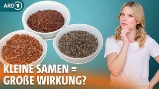 Flohsamenschalen, Leinsamen und Chiasamen im Vergleich | Dr. Julia Fischer | ARD Gesund