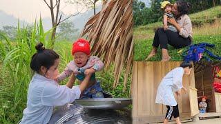 Single father,harvesting papaya to sell,wife selling bananas at the market,The girl harmed her child