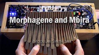 Morphagene and Mbira - modular eurorack jam no. 1