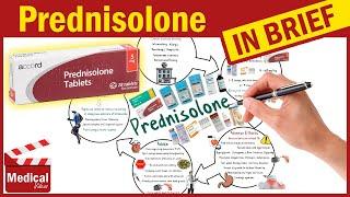 Prednisolone 5mg (Orapred): What Is Prednisolone Used For? Uses, Dose & Side Effects of Prednisolone