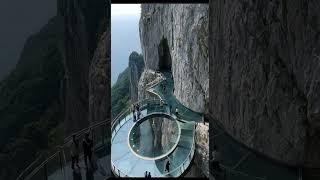 Glass Bridge COLLAPSES Mid-Walk! Tourists Plunge Into Abyss!