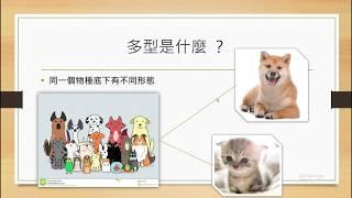 Java物件導向 重觀念迅速教學 3 Polymorphism 什麼是繼承? 什麼是多型？為何多型以及如何設計多型？