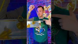 4 best magic tricks revealed