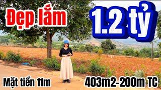VỪA ĐẸP VỪA RẺ. siêu phẩm nghỉ dưỡng ven Đà Lạt này có giá chỉ 1.2 tỷ