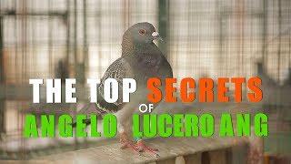 Top Secrets of Angelo Lucero Ang