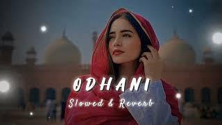 ODHANI OD KE NACHU | ODHANI | SLOWED REVERB | 2024 SONG|