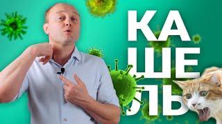 КАШЕЛЬ. Откуда берётся и как избавляться.