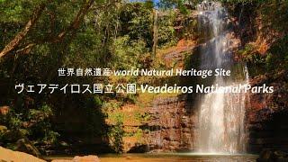 【世界遺産-World Heritage Site】ヴェアデイロス国立公園-Veadeiros National Parks Some Like It Hot-Dennis Coffey