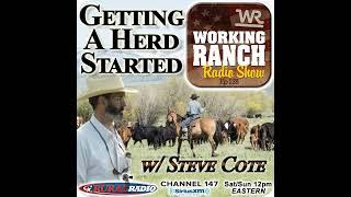 Ep 128: Stockmanship w Steve Cote… Getting a Herd Started Correctly