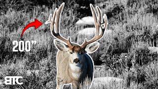 200 INCH MULE DEER | WINTER RANGE 2025 | BTC 4K