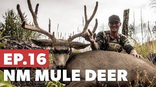 New Mexico Mule Deer Hunt Pt. 3 - The Mountain Project Season 5:E16