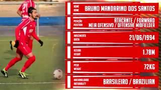 Bruno Mandarino - Offensive Midfielder - Check Soccer