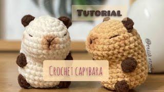 Crochet a Cute Capybara tutorial/ Amigurumi project