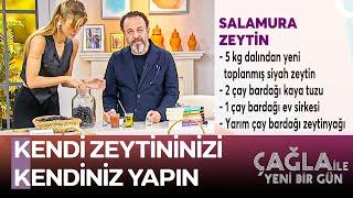 Dr. Ümit Aktaş'tan Salamura Zeytin Tarifi - Çağla ile Yeni Bir Gün 1304. Bölüm