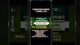 七俱胝佛母准提大明陀羅尼 (2025/06/16) #佛法 #真言宗 #觀音法門 #准提咒 #廣東話譯音 #dharari