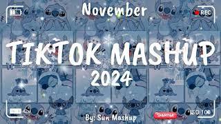 Tiktok Mashup November 2024 (Not Clean)