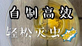 消灭果蝇 小飞虫 省钱 DIY 高效药水