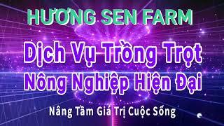 Cách xử lý rau thủy canh mất cân bằng dinh dưỡng