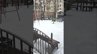 Фрунзенская набережная 12 Комсомольский проспект 5/2 #москва #недвижимость #фрунзенская #история