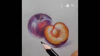 let's draw a plums # Sheetal's art's # #viral #youtubeshort #art #pencil #drawing #