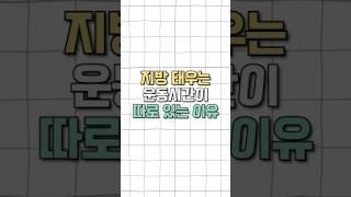 다이어트 체지방 분해 이렇게만 운동하세요5