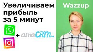 Как увеличить прибыль с помощью интеграции WhatsApp и Instagram в amoCRM