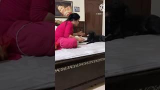 Sang rahiyon ️love you Jasmine Devantika official subscribe share