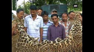 Forest officers seize leopard skin in West Bengal