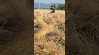 @MiroBonevBCSBulgaria Най-добрия майстор на спорта с BCS 303
