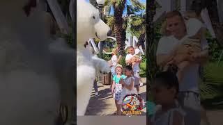 Детство, детство ты куда бежишь ️ #шатунов #юрийшатунов #детство #ссср #1июня #май#сочи #праздник
