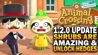 1.2.0 Update! Shrubs Are A Design Game Changer & Unlock Hedges! Animal Crossing New Horizons Update