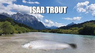 Fly fishing in Bavaria | Isar Krün | Native brown trout