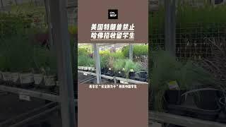 美国特朗普禁止哈佛大学招生国际学生 #加拿大 #熱門