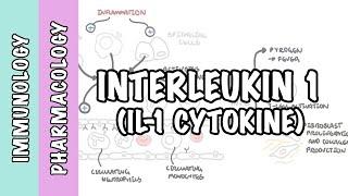 Immunology - Interleukin 1 (IL1) physiology and IL1 antagonist pharmacology