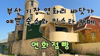 [Korea 한국] 부산 기장 연화리 바닷가 인스타 감성카페 "연화점빵"  Insta Cafe on the seaside in Busan