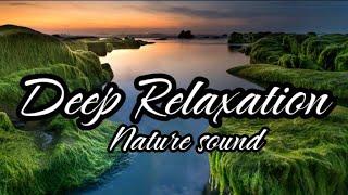 Relaxing Music : Nature sound , Stress relief , Calm ,  Peaceful , Soothing , Meditation , Healing