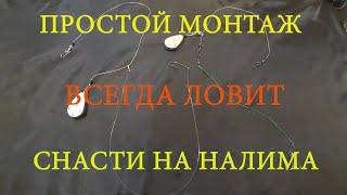 ДЕЛАЕМ  ДОНКИ на НАЛИМА, СУДАКА! ЛОВЯТ И НЕ ПУТАЮТСЯ #всегданарыбалке #монтажснасти #налим #донки