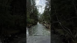 дорога на водопад Белый в Архызе #архыз