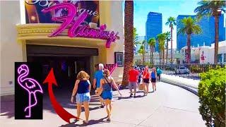 What's So Interesting About Flamingo Las Vegas?