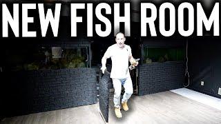 I'm building a NEW FISH ROOM for aquariums - the king of DIY