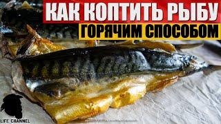 How to smoke fish in a hot way (for example, mackerel)
