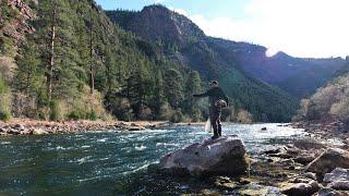 The GREATEST trout stream in the US.