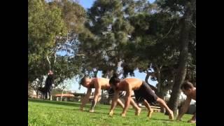 Conor McGregor and Ido Portal training wrist power