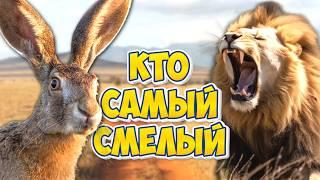 Храбрый заяц, гордый лев или хитрая гиена: кто самый смелый