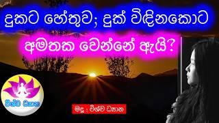 BE THE MASTER OF YOUR MIND - Part 111 | දුකට හේතුව, දුක් විඳිනකොට අමතක වෙන්නේ ඇයි ? VISHWA DHYANA